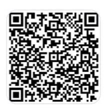 QR Code PIX
